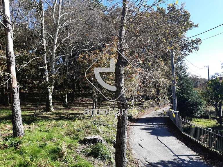 Plot para Sale en Vascões, Paredes De Coura 3