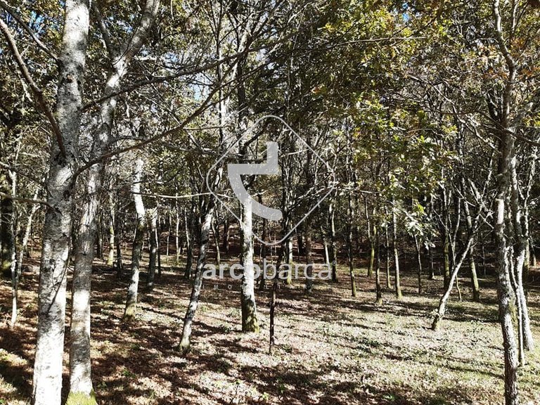 Plot para Sale en Vascões, Paredes De Coura 6