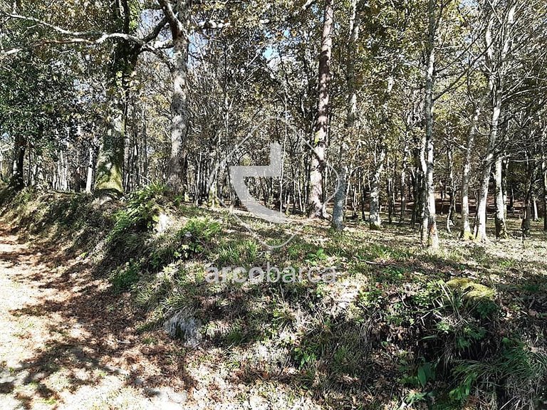 Plot para Sale en Vascões, Paredes De Coura 13