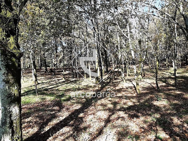 Plot para Sale en Vascões, Paredes De Coura 8