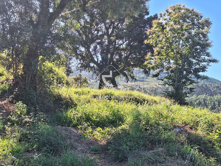 Plot para Sale en Bárrio E Cepões, Ponte De Lima 10