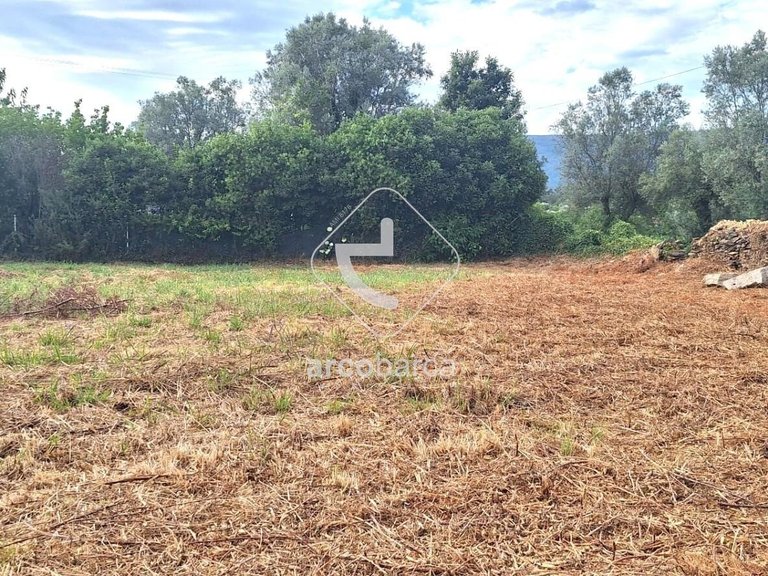 Plot para Sale en Torre E Vila Mou, Viana Do Castelo 11