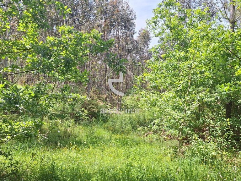 Plot para Sale en Arcos, Ponte De Lima 8