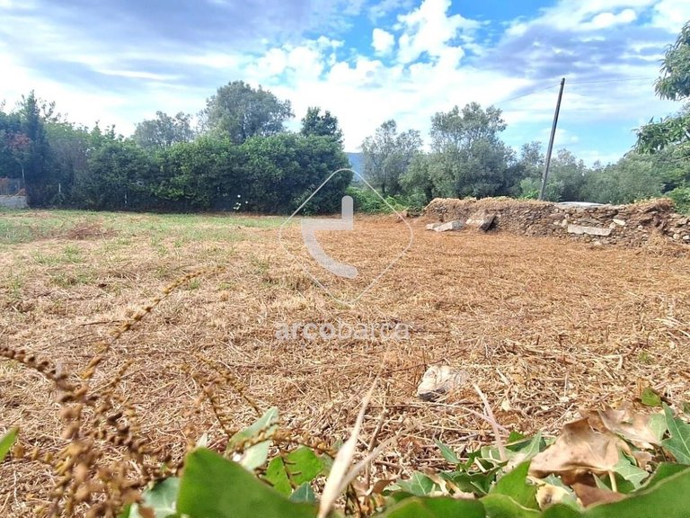 Plot para Sale en Torre E Vila Mou, Viana Do Castelo 10