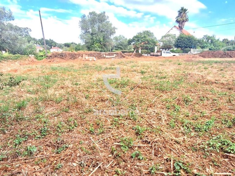 Plot para Sale en Torre E Vila Mou, Viana Do Castelo 5
