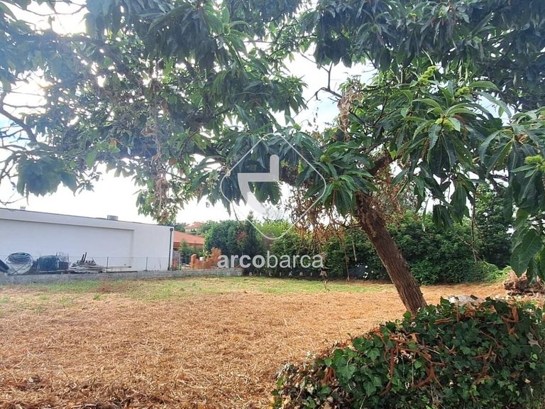 Plot para Sale en Torre E Vila Mou, Viana Do Castelo 9