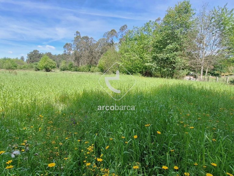 Plot para Sale en Arcos, Ponte De Lima 6