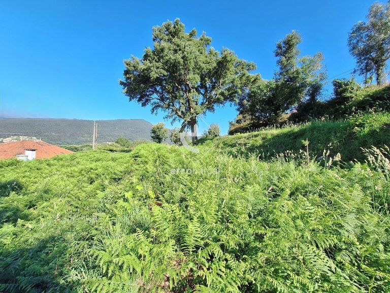 Plot para Sale en Bárrio E Cepões, Ponte De Lima 12