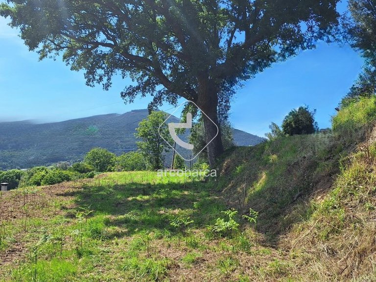 Plot para Sale en Bárrio E Cepões, Ponte De Lima 8