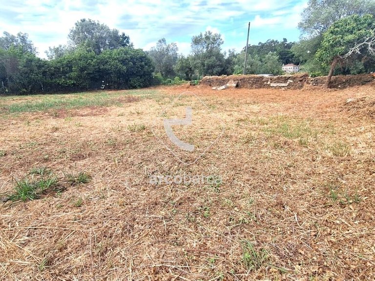 Plot para Sale en Torre E Vila Mou, Viana Do Castelo 3
