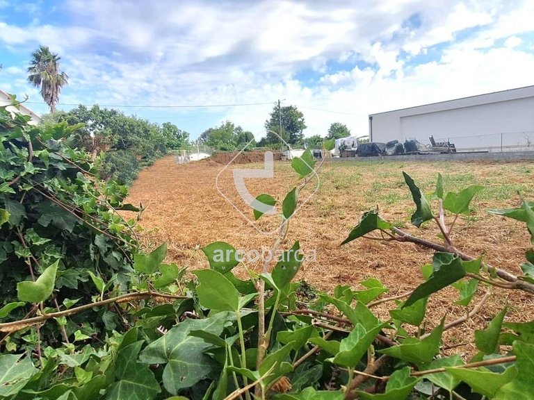 Plot para Sale en Torre E Vila Mou, Viana Do Castelo 7