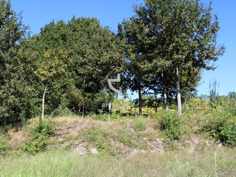 Plot para Sale en Oliveira, Arcos De Valdevez 6