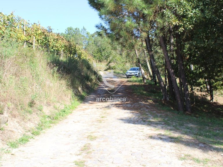 Plot para Sale en Oliveira, Arcos De Valdevez 18