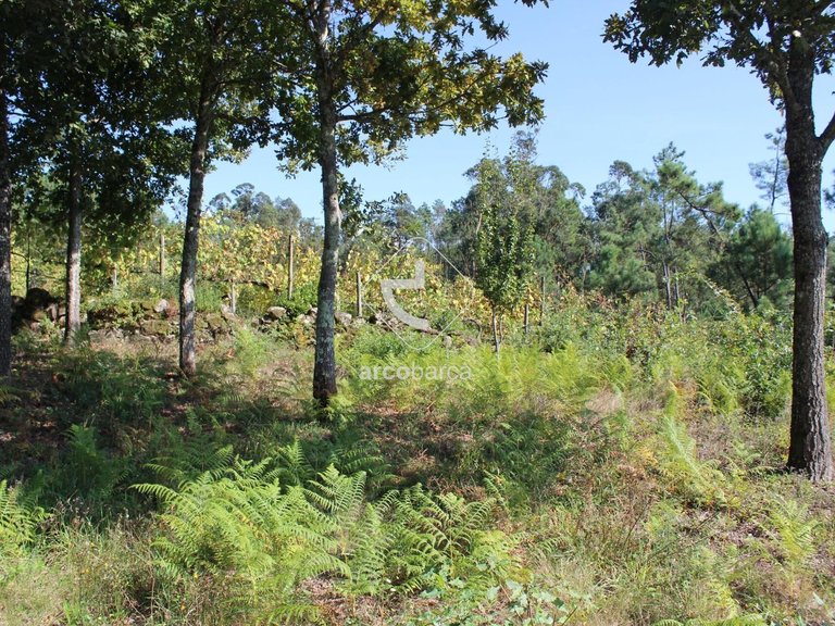 Plot para Sale en Oliveira, Arcos De Valdevez 7