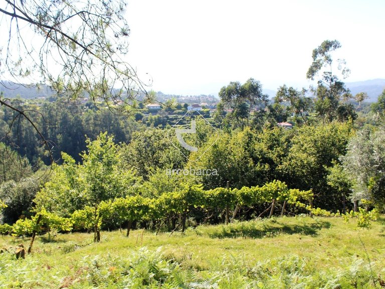 Plot para Sale en Vila Chã (são João Baptista E Santiago), Ponte Da Barca 10