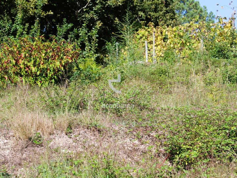 Plot para Sale en Oliveira, Arcos De Valdevez 8
