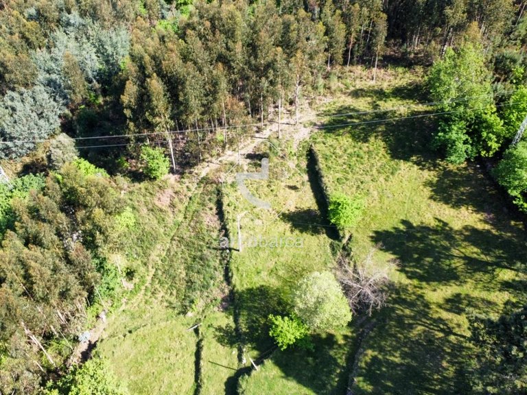 Plot para Sale en Vila Chã (são João Baptista E Santiago), Ponte Da Barca 24