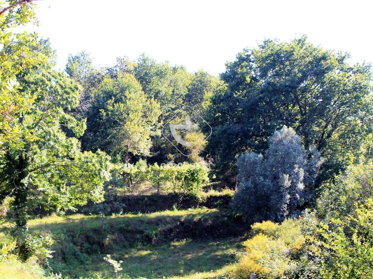 Plot para Sale en Vila Chã (são João Baptista E Santiago), Ponte Da Barca 16