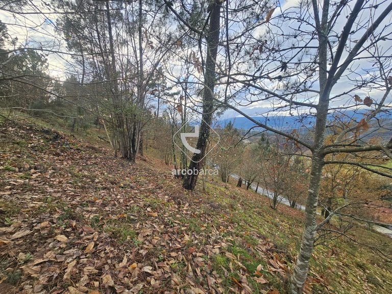 Plot para Sale en Grade E Carralcova, Arcos De Valdevez 17