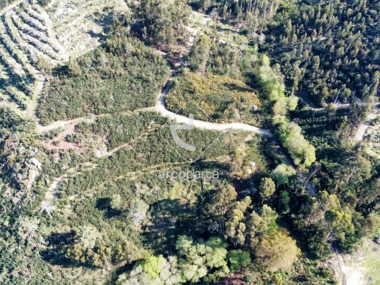 Plot para Sale en Gondufe, Ponte De Lima 18