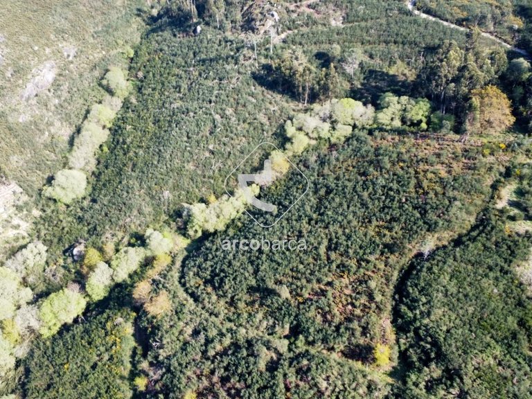 Plot para Sale en Gondufe, Ponte De Lima 15