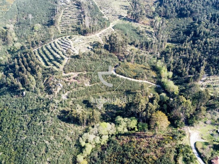 Plot para Sale en Gondufe, Ponte De Lima 16