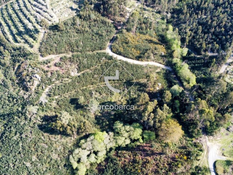 Plot para Sale en Gondufe, Ponte De Lima 17