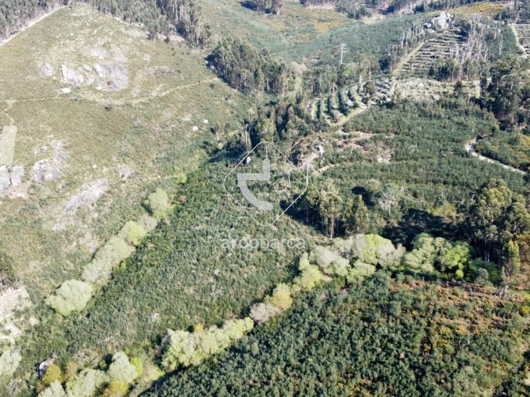 Plot para Sale en Gondufe, Ponte De Lima 14
