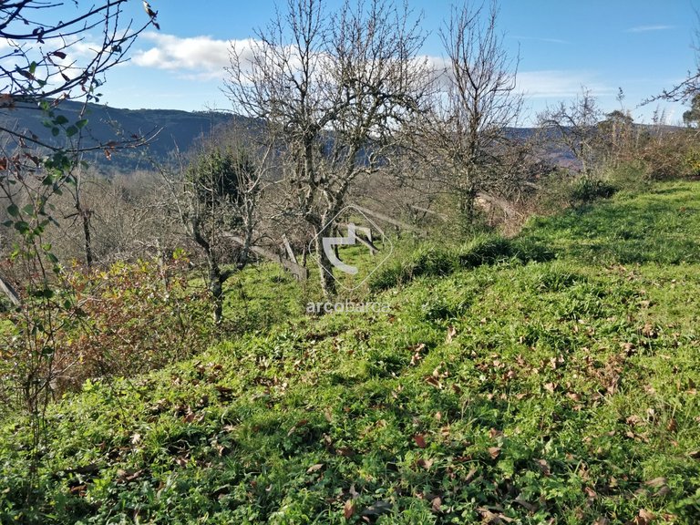 Plot para Sale en Coura, Paredes De Coura 6