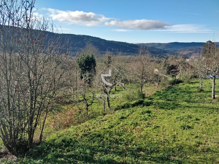 Plot para Sale en Coura, Paredes De Coura 1