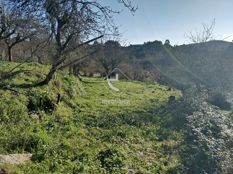 Plot para Sale en Coura, Paredes De Coura 2
