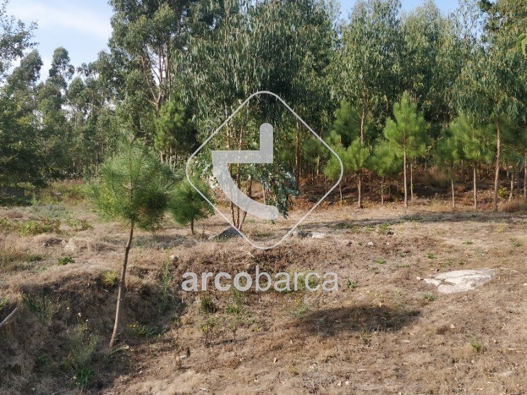 Plot para Sale en Formariz E Ferreira, Paredes De Coura 3