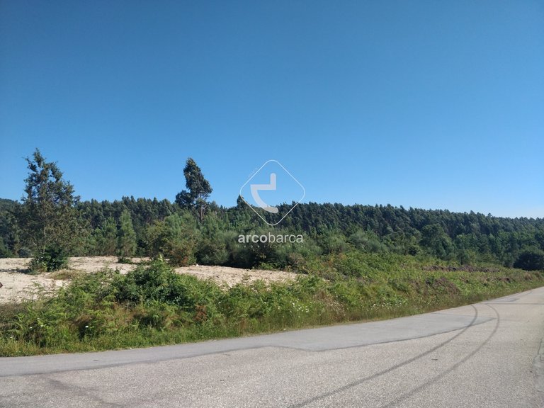 Plot para Sale en Romarigães, Paredes De Coura 12