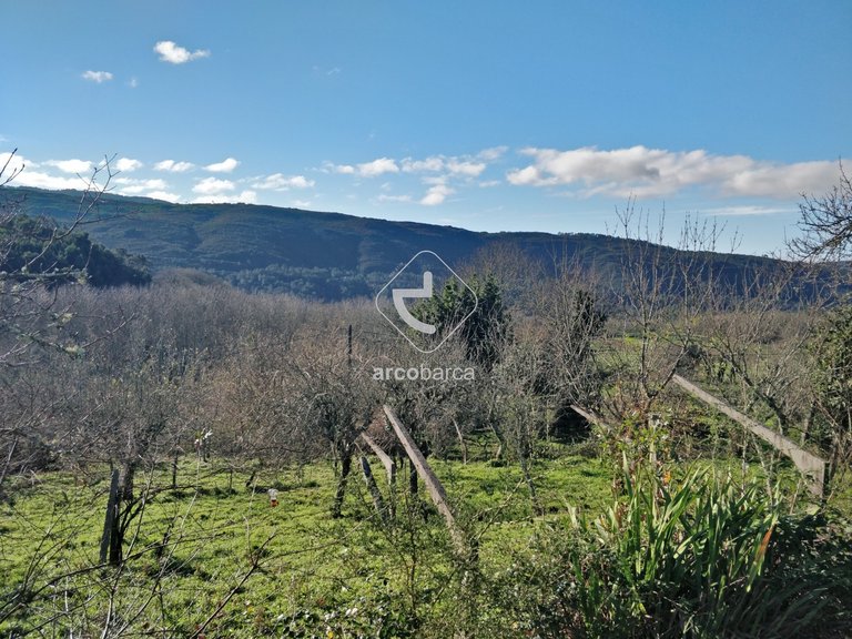 Plot para Sale en Coura, Paredes De Coura 5