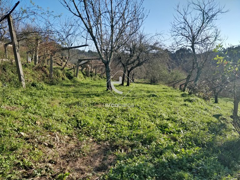 Plot para Sale en Coura, Paredes De Coura 3