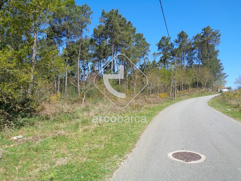 Plot para Sale en Cossourado E Linhares, Paredes De Coura 1