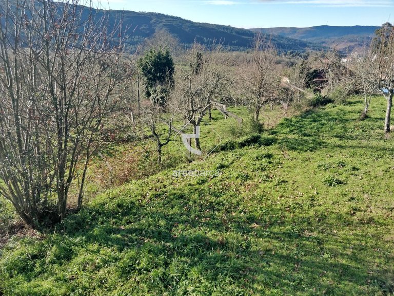 Plot para Sale en Coura, Paredes De Coura 8
