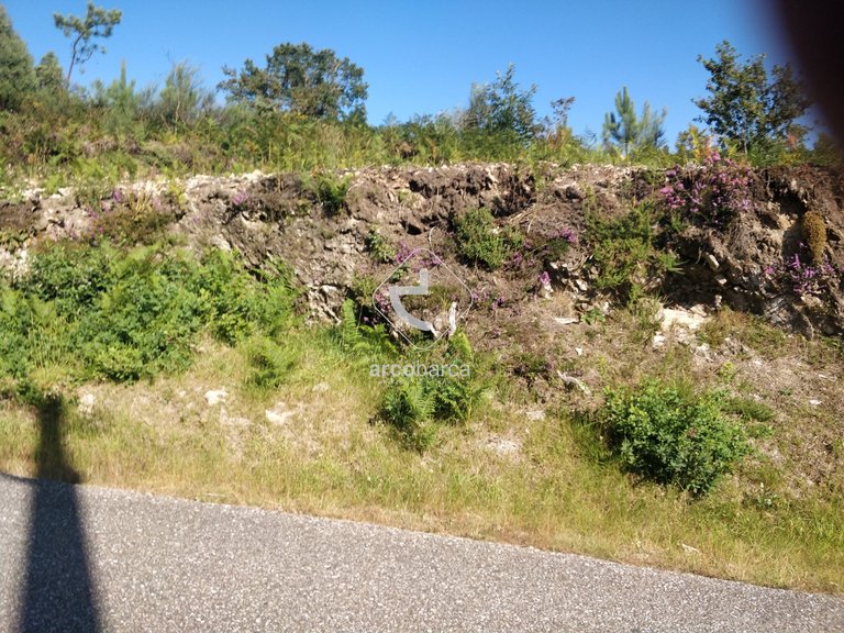 Plot para Sale en Romarigães, Paredes De Coura 20