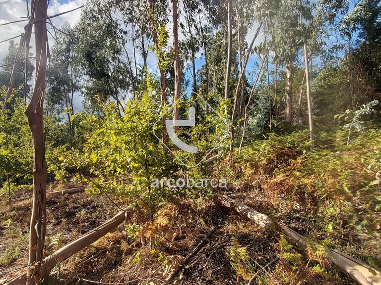 Plot para Sale en Refóios Do Lima, Ponte De Lima 2