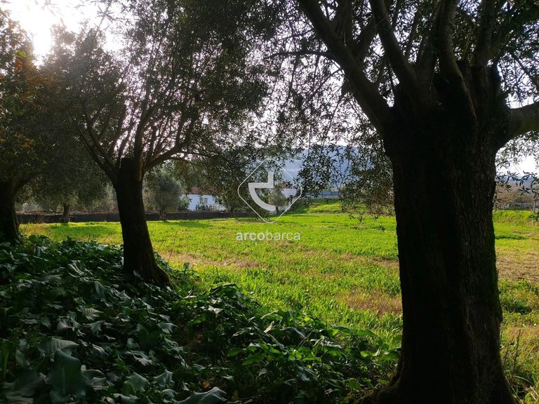 Plot para Sale en Calheiros, Ponte De Lima 10
