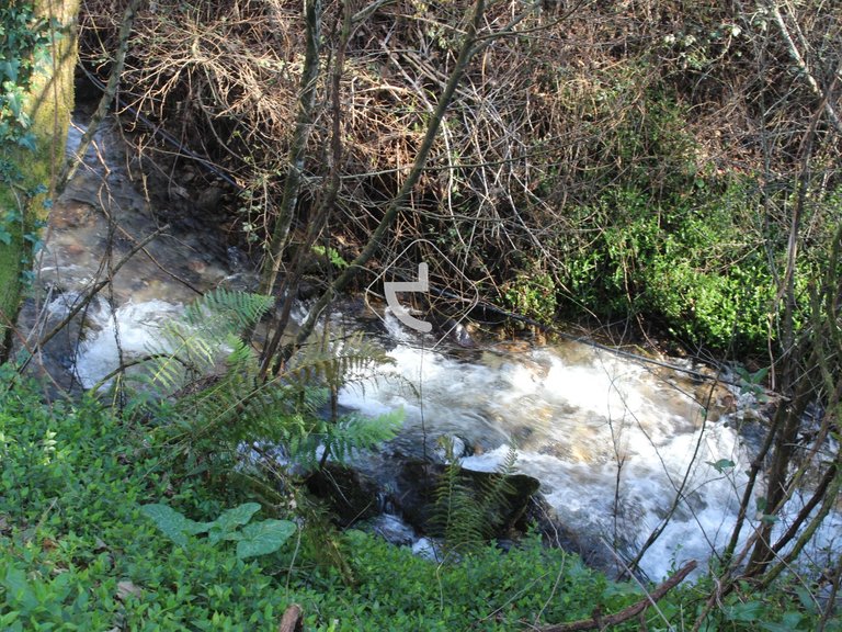 Plot para Sale en Bárrio E Cepões, Ponte De Lima 26