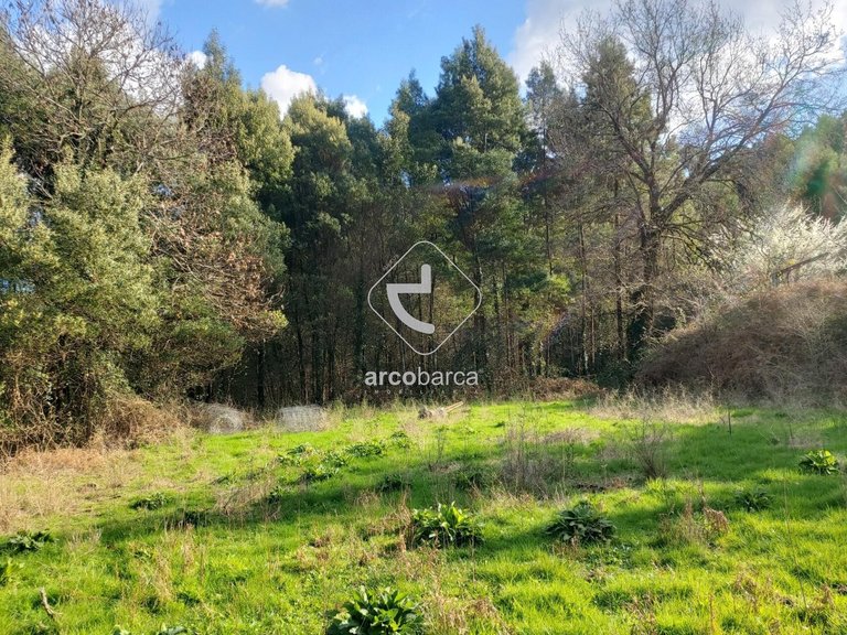 Plot para Sale en Labruja, Ponte De Lima 8