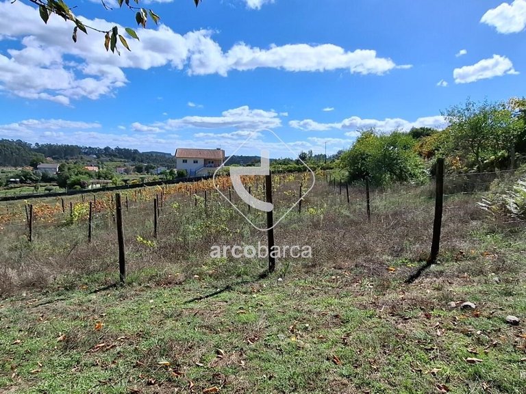 Country House para Sale en Calvelo, Ponte De Lima 16