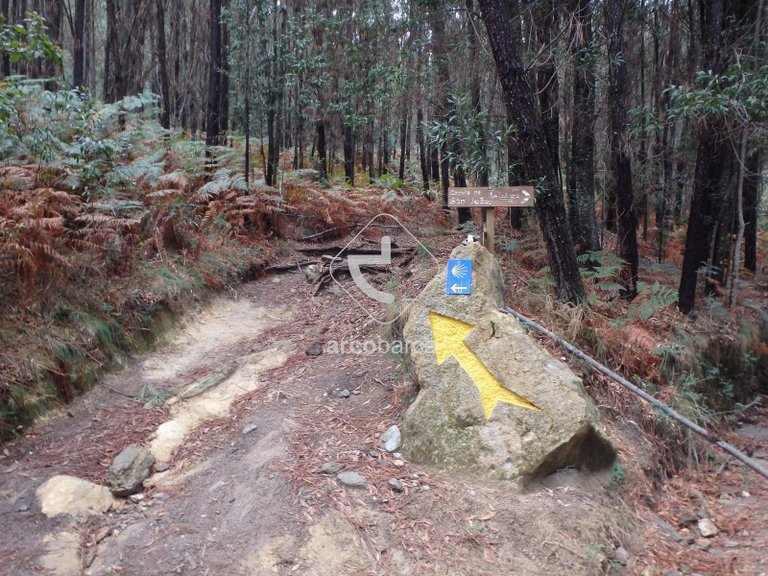 Villa para Sale en Labruja, Ponte De Lima 93