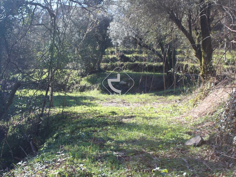 Plot para Sale en Bárrio E Cepões, Ponte De Lima 20