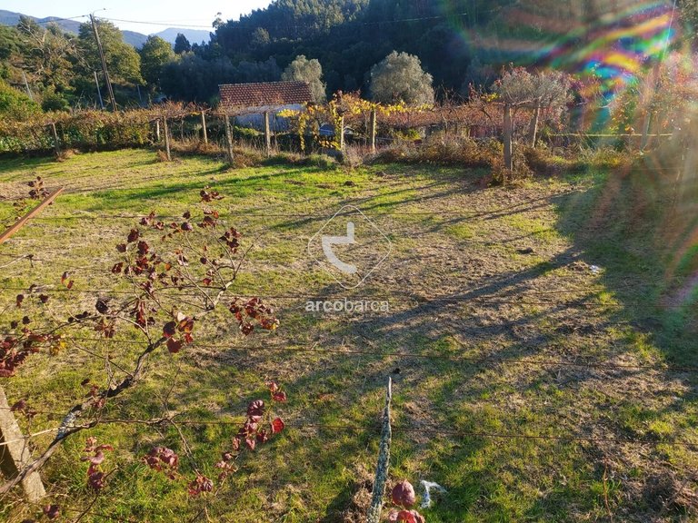 Plot para Sale en Cabração E Moreira Do Lima, Ponte De Lima 3