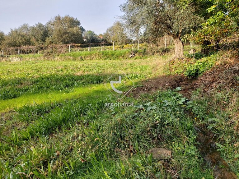 Plot para Sale en Calheiros, Ponte De Lima 13