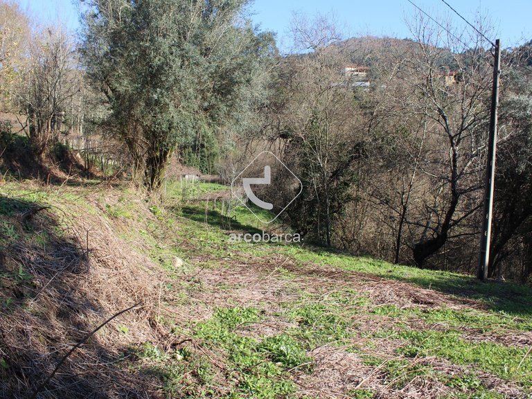 Plot para Sale en Bárrio E Cepões, Ponte De Lima 7