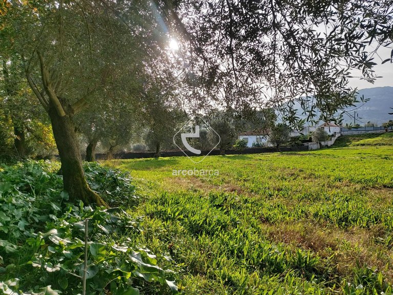 Plot para Sale en Calheiros, Ponte De Lima 11