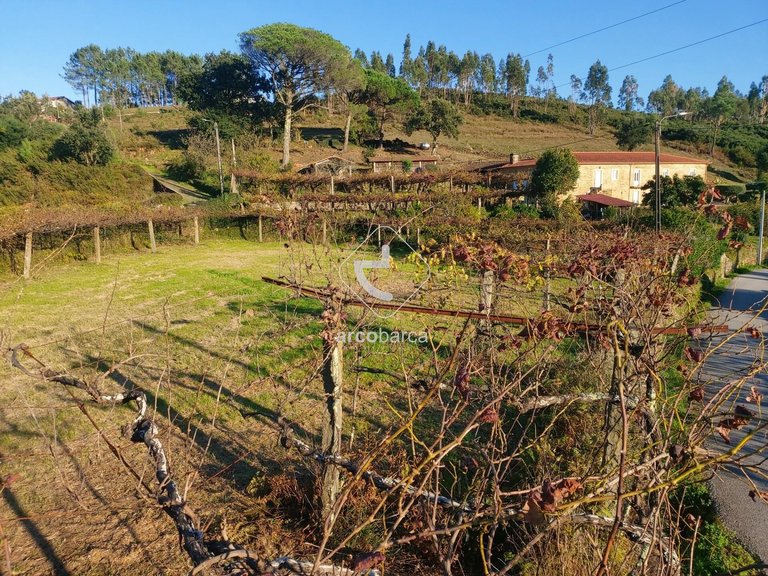 Plot para Sale en Cabração E Moreira Do Lima, Ponte De Lima 5
